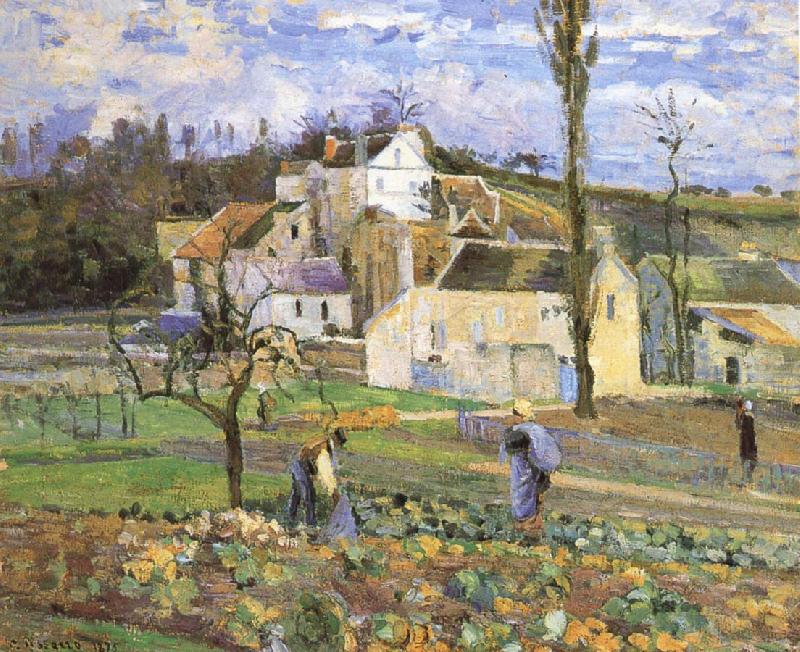 Camille Pissarro Cabbage harvest oil painting image